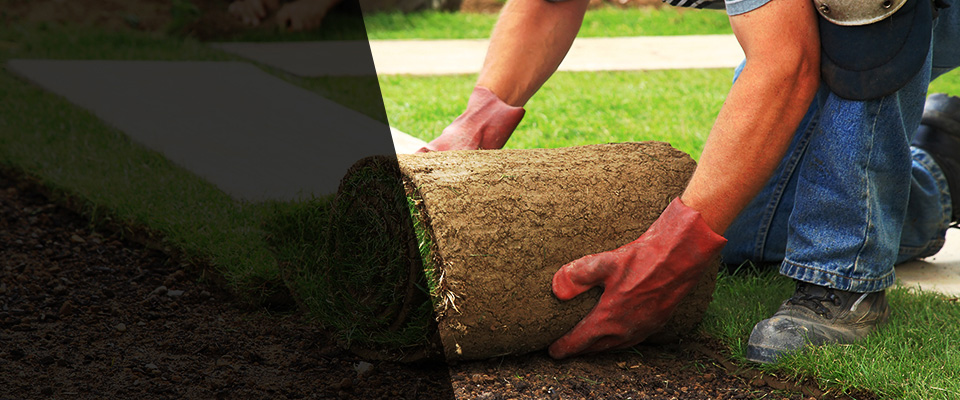 Short Hills Landscapers